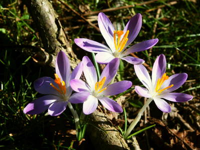 Bild 20 aus  Forsthof Niendorf