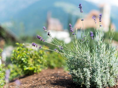 Bild 32 aus  Moar am Ort - Bäuerlich wohnen mit Stil