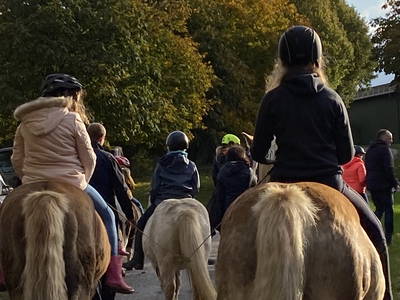 Bild 27 aus  Ferienhof Messer  Bauernhofurlaub  Ostseenähe  Ponys