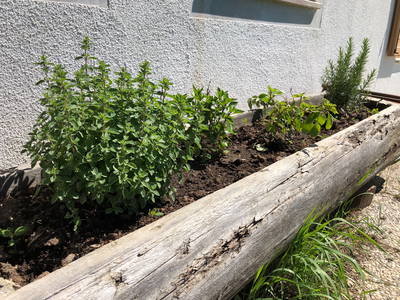 ein Teil unseres Kräutergartens