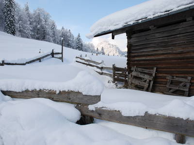 Bild 55 aus  Masererhof - Ferienbauernhof im Chiemgau
