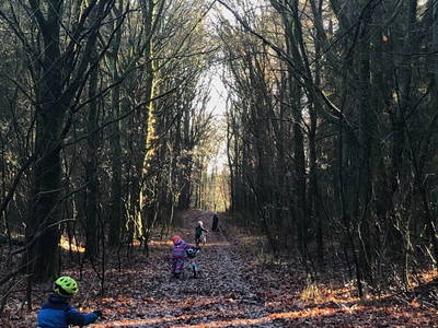 Bild 34 aus  Alter Bahnhof Vaale