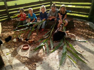 Bild 27 aus  Familienbauernhof Faß