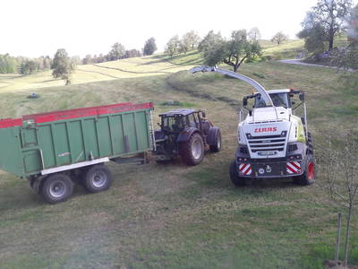 Bild 24 aus  Erholung - Natur pur - Urlaub auf dem Loyerhof