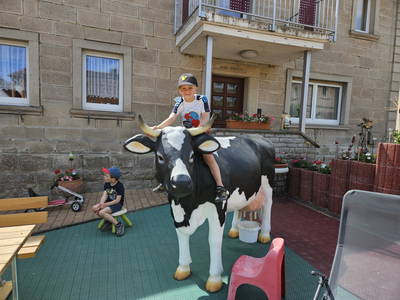Bild 6 aus  Steigerwälder Zwergenhof ihr kleiner Kinder-Bauernhof für Familien- und Gruppenurlaube