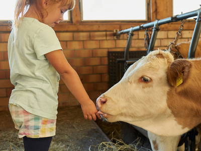 Bild 28 aus  Wenighof