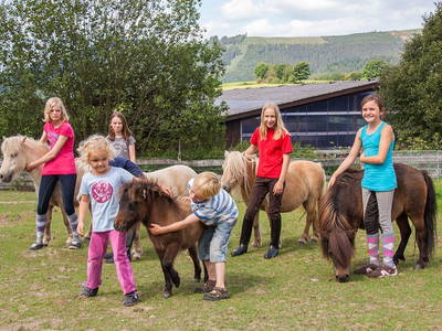 Unsere Liebe zu Pferden teilen wir mit jedem Besucher!