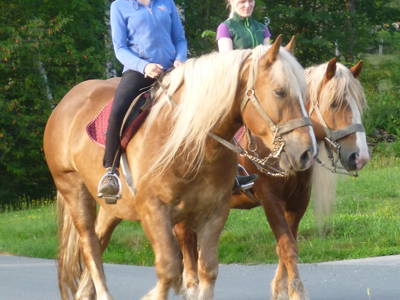 Bild 33 aus  Haberlhof