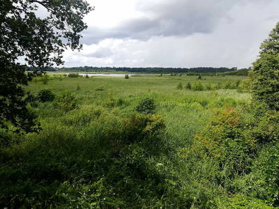Rambower Moor mit Moorsee