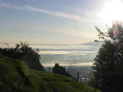 Bild 12 aus  Koglhof