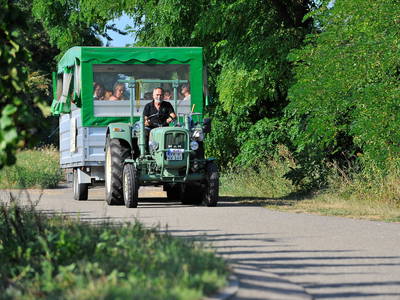 Bild 5 aus  Ferienhof Walter