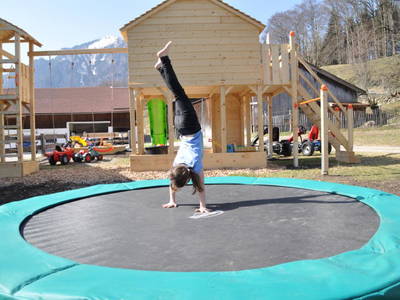 Bild 31 aus  Donauerhof