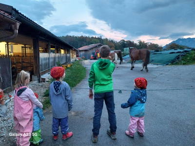 Bild 15 aus  Fuchsbauernhof