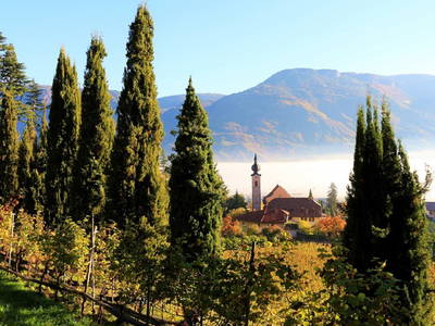 Bild 59 aus  Krösshof Rosen-Residenz