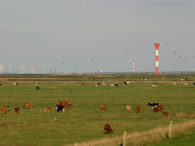 Bild 15 aus  Ferienhof Gellert