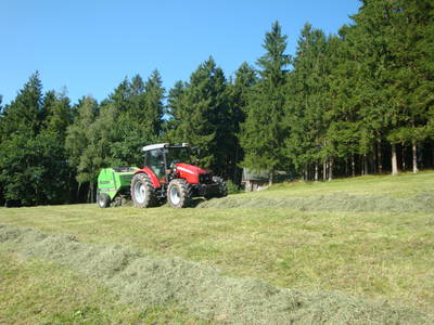 Bild 14 aus  Fussbauernhof