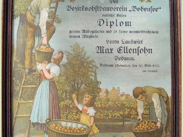 Bild 17 aus  Obst- und Ferienhof Sohm