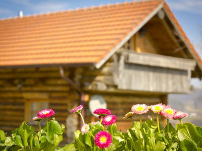 Bild 93 aus  Paulas Bauernhof im Bayerischen Wald