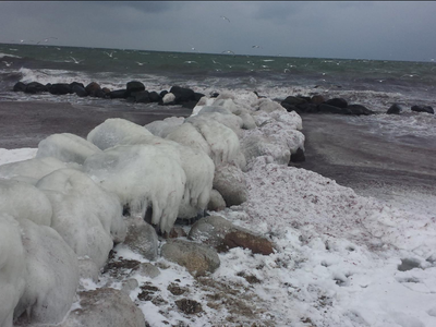 Bild 17 aus  OstseeBauernhof Schönhagen