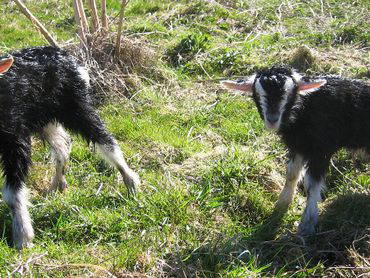 Bild 21 aus  Hof Grüneberg