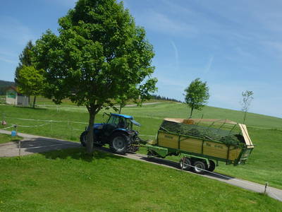 Bild 18 aus  Gschwinghof