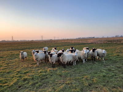 Bild 6 aus  Ferienhof Blocksberg