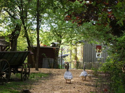 Bild 23 aus  Endlhof