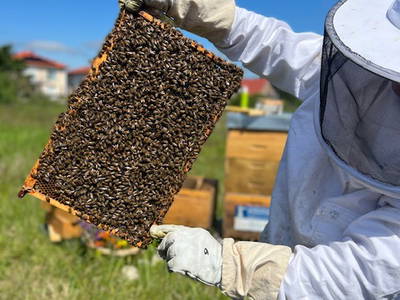Bild 18 aus  Strandhäuser am Leuchtturm - Ferienhausgesellschaft Behrens & Kauffmann KG (GmbH & Co.)