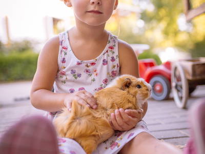 Bild 23 aus  Ferienhof Sonnengarten