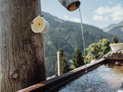 Bild 22 aus  Martenhof