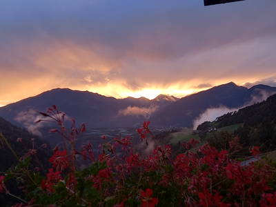 Bild 58 aus  Kreuzplon