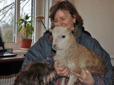 Bild 14 aus  Nutztier-Arche Hof Steindamm