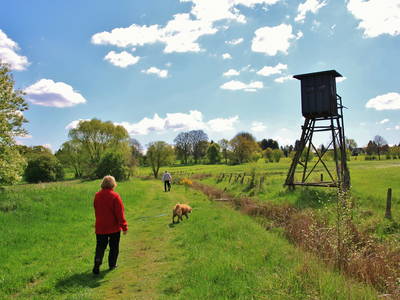 Bild 5 aus  Ferienbauernhof