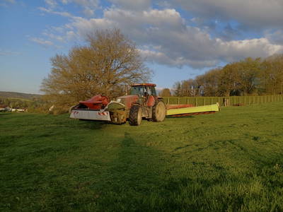 Bild 52 aus  Marienhof