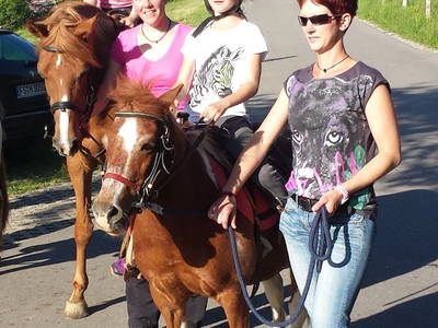 Bild 3 aus  Ferienhof Schmid