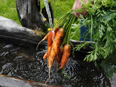 Bild 29 aus  Steinerhof