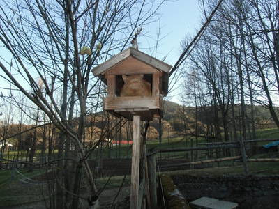 Bild 29 aus  Bucherhof