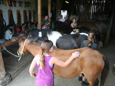 Bild 13 aus  Weidererhof