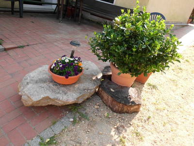 Bild 9 aus  Familienferienhof M. & M. Leubner