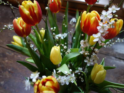 Blumengruß aus dem Garten