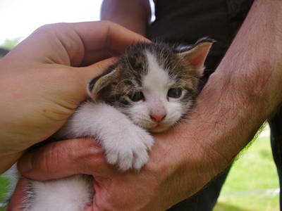 Bild 10 aus  Imkershof