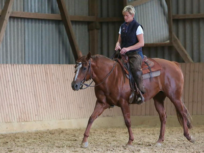 Bild 17 aus  Marienhof