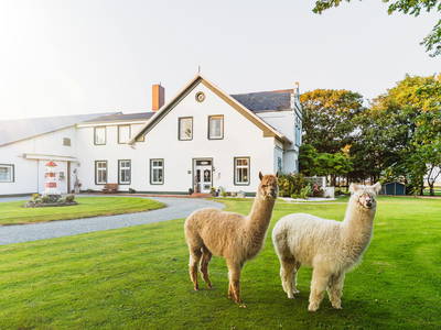 Helmut und Olaf warten schon auf Euch!