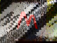 Bild 29 aus  Hotel Gasthof Sieberzmühle