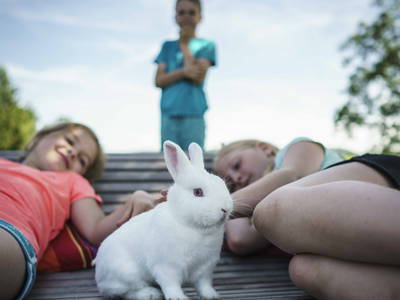 Bild 14 aus  Hof Gottenau