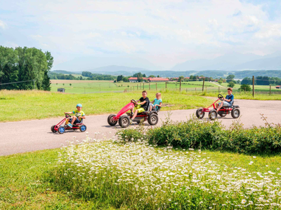 Bild 31 aus  Panoramahof