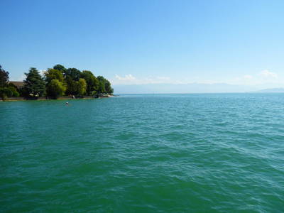 Bild 6 aus  Weinbau Wendelin Hornstein