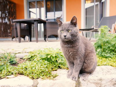 Bild 29 aus  Simmernhof Mossendorf