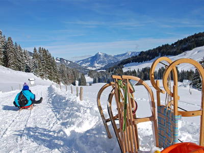 Bild 52 aus  Gmeinder's Landhaus