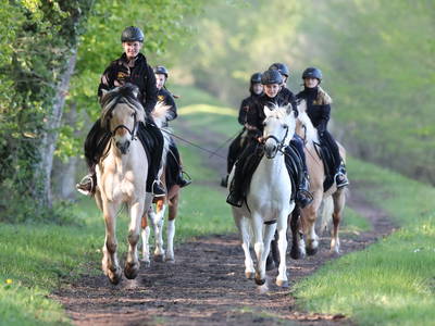 Bild 9 aus  Bernsteinland Wendorf